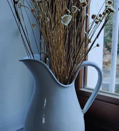 Locanda Il Pomo D'oro * Torre Pellice